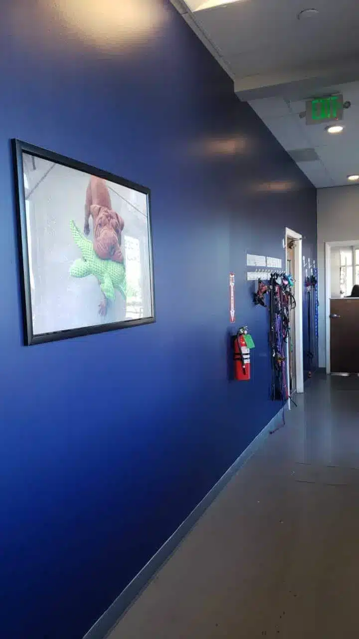 Color Matching and Consultation