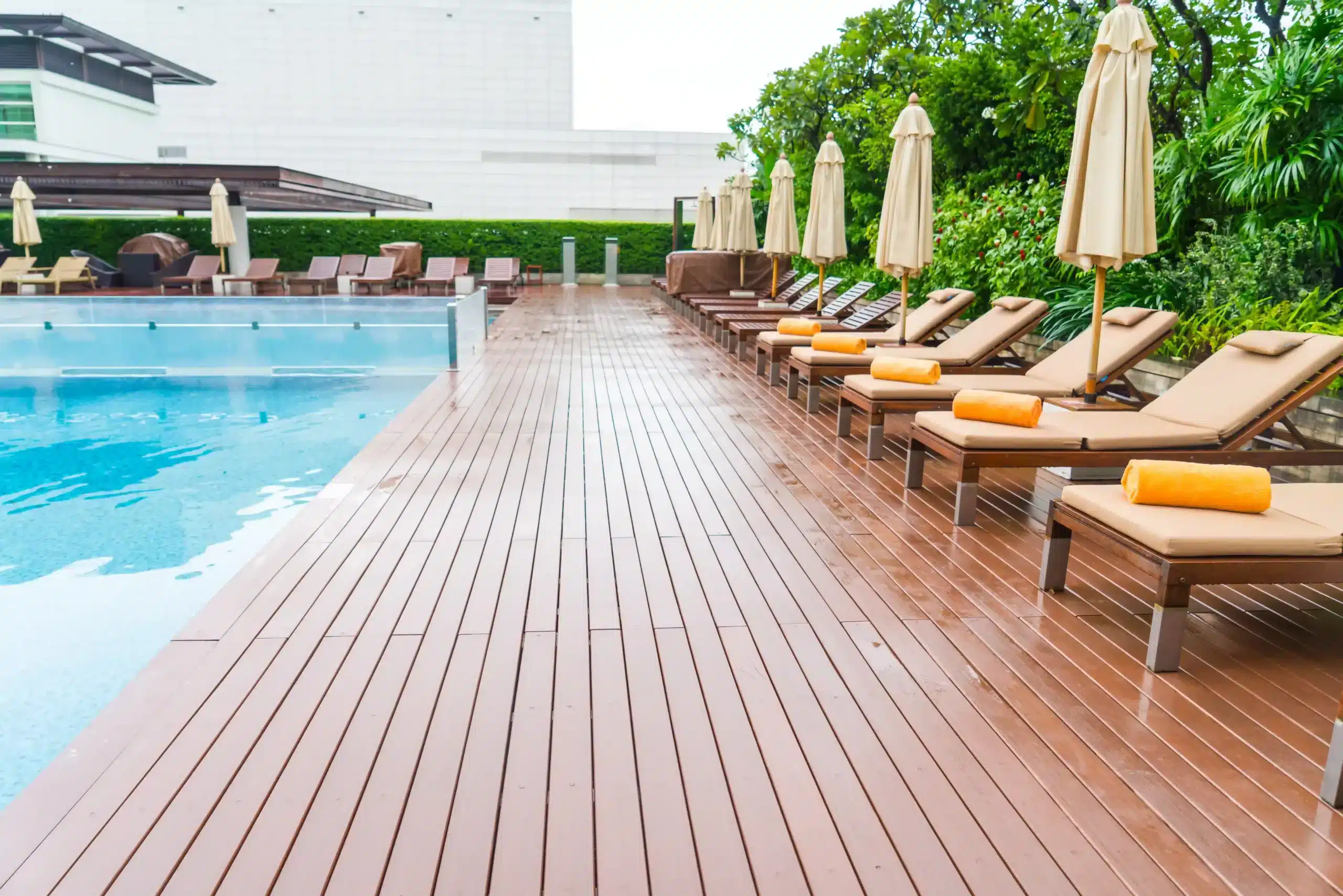 Deck and Fence Cleaning