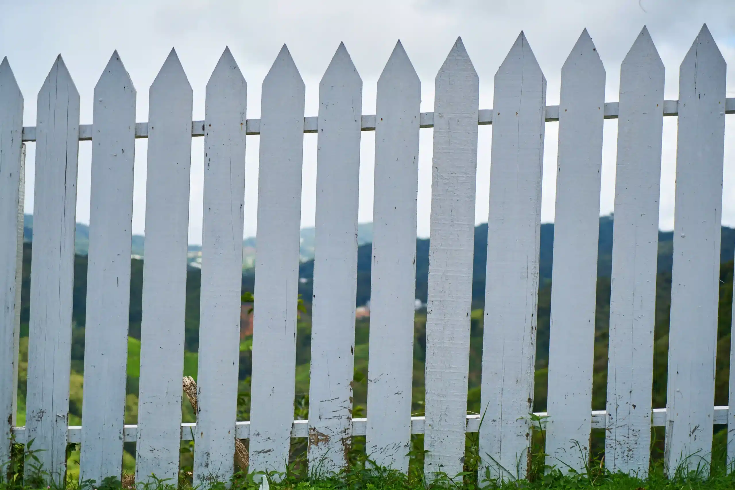 Vinyl or Wood fences